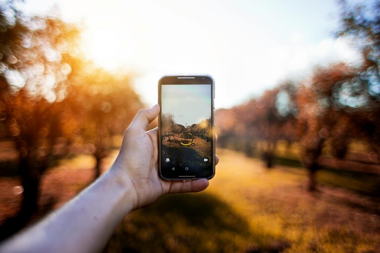 Beginner Tips for Taking Better Phone Photos Every Time
